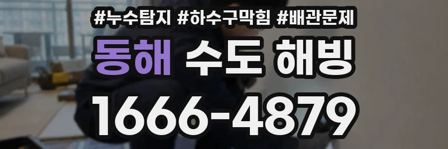 동해 수도 해빙