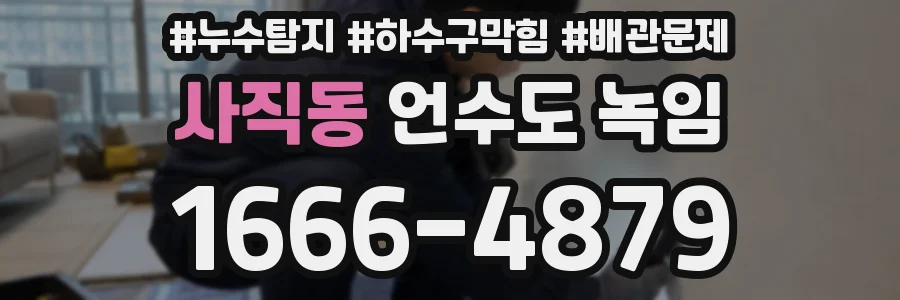 사직동 언수도 녹임