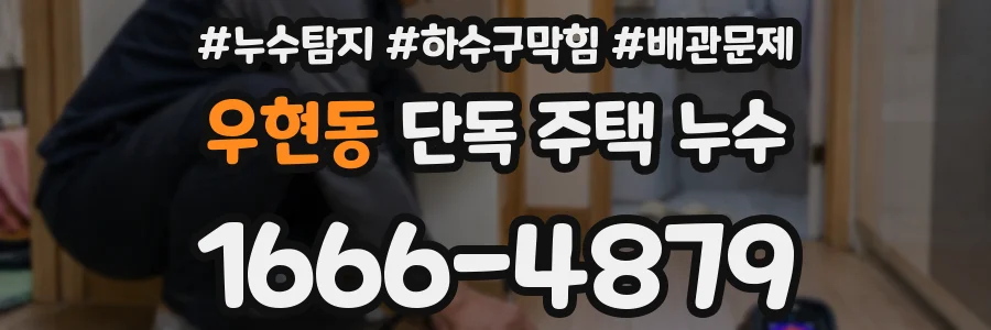 우현동 단독 주택 누수