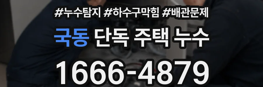 국동 단독 주택 누수