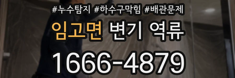 임고면 변기 역류