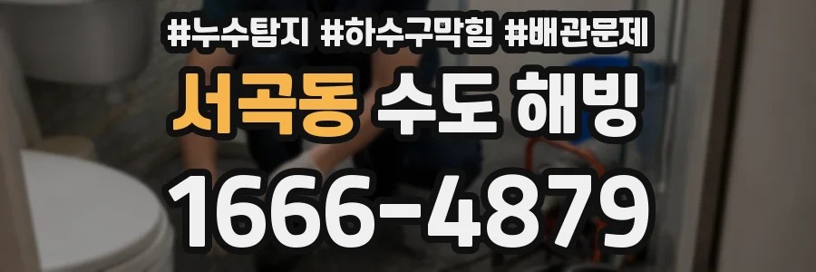 서곡동 수도 해빙