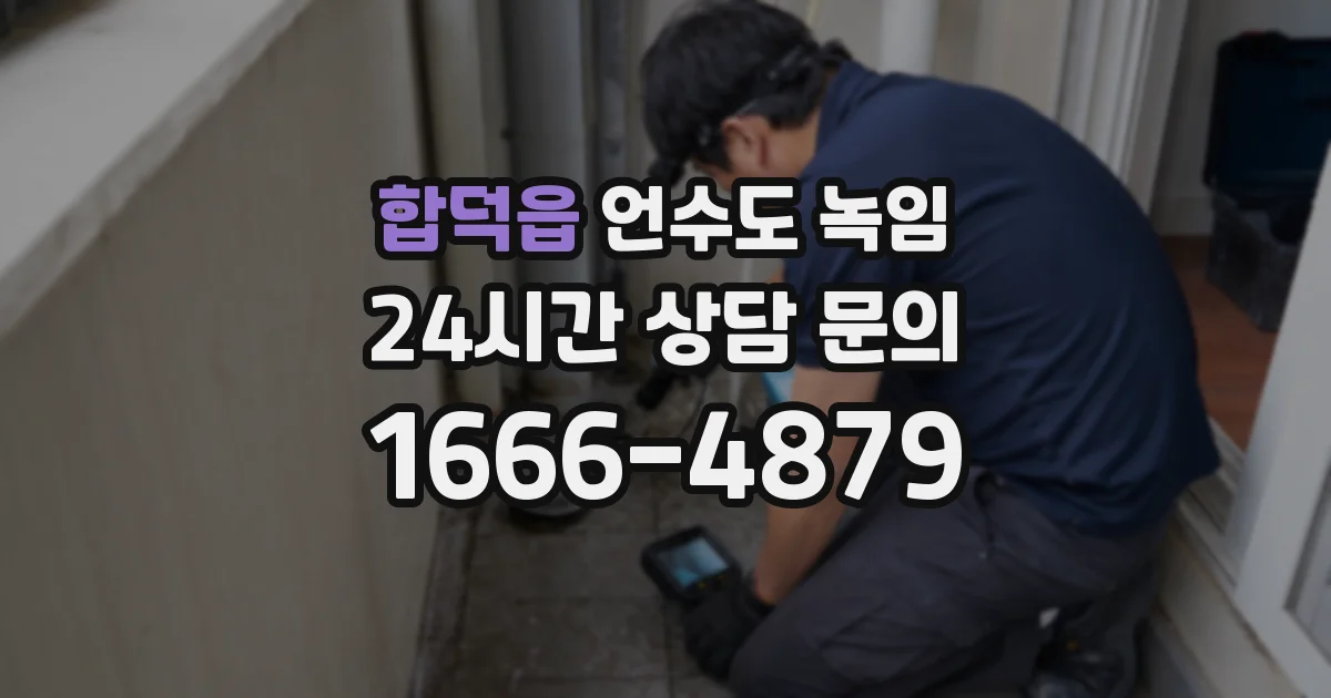 합덕읍 언수도 녹임