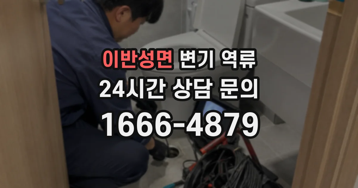 이반성면 변기 역류
