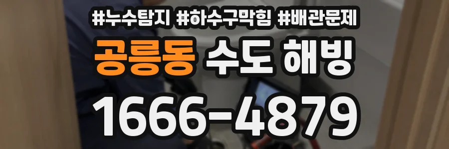 공릉동 수도 해빙