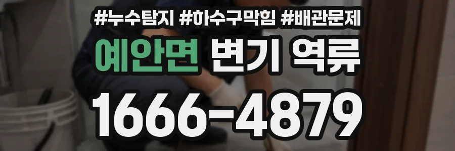 예안면 변기 역류