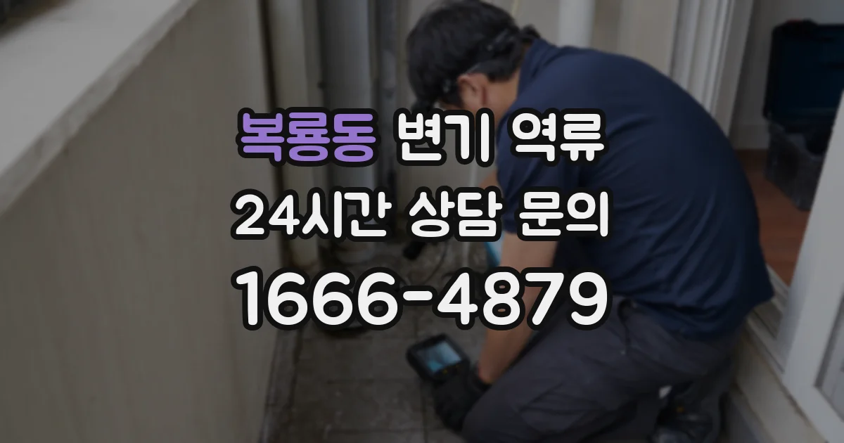 복룡동 변기 역류