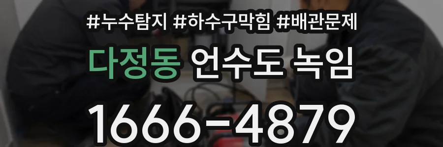 다정동 언수도 녹임