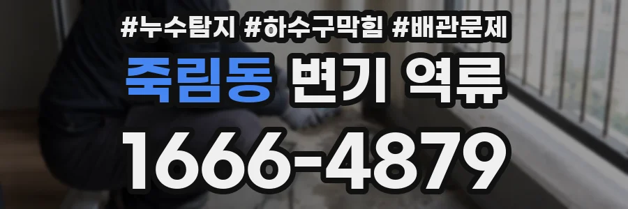 죽림동 변기 역류