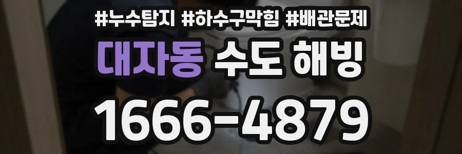 대자동 수도 해빙