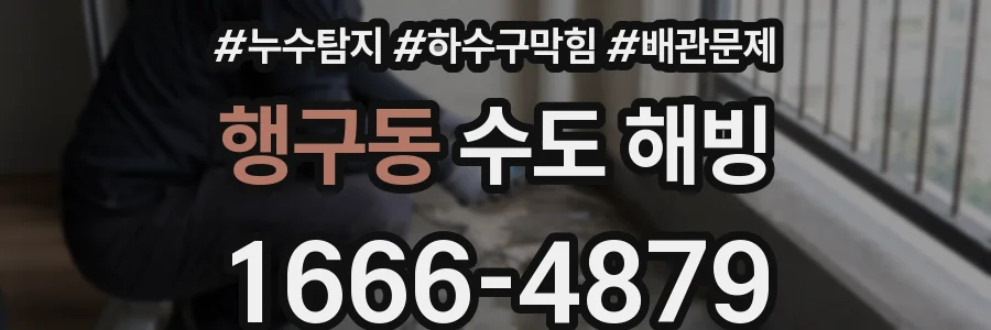 행구동 수도 해빙