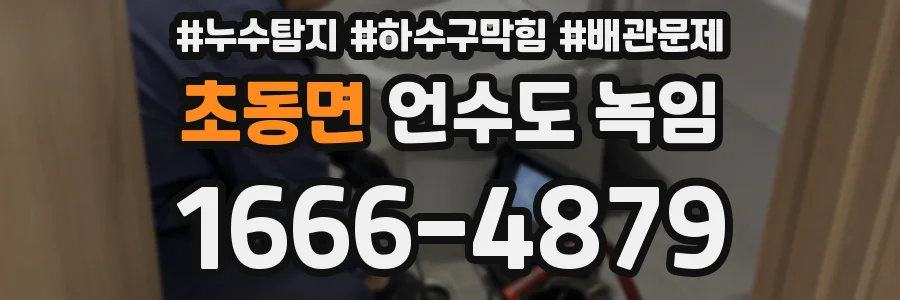 초동면 언수도 녹임