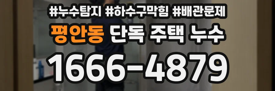 평안동 단독 주택 누수