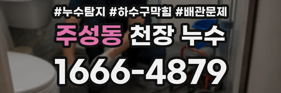 주성동 천장 누수