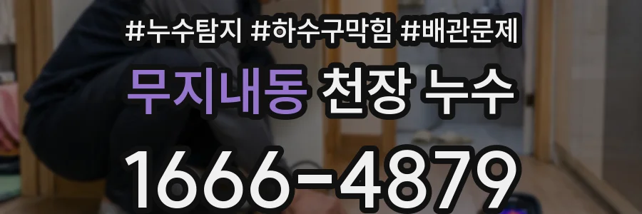 무지내동 천장 누수