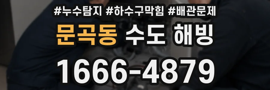 문곡동 수도 해빙