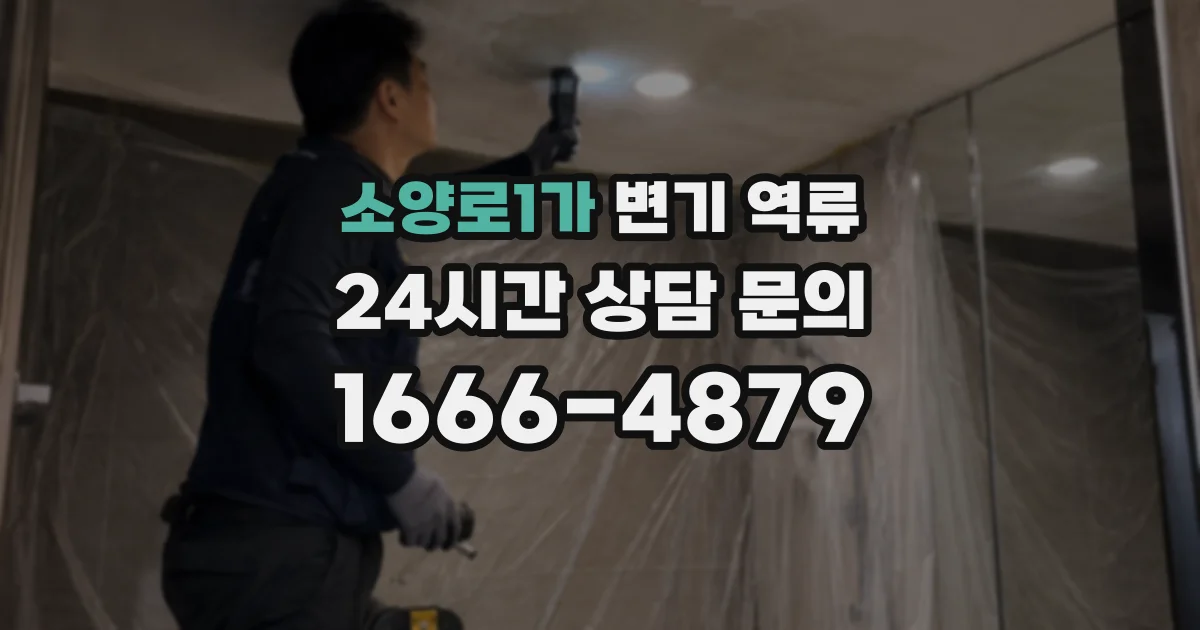 소양로1가 변기 역류