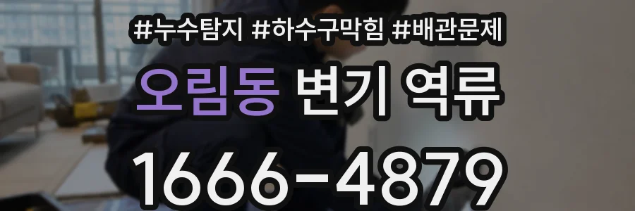 오림동 변기 역류