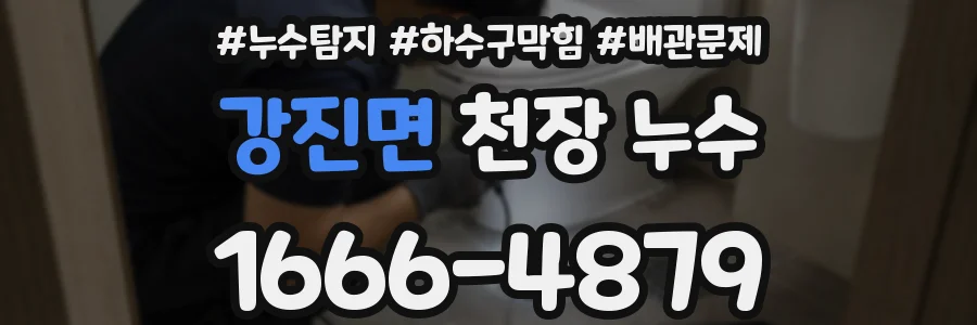 강진면 천장 누수