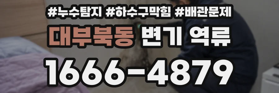 대부북동 변기 역류