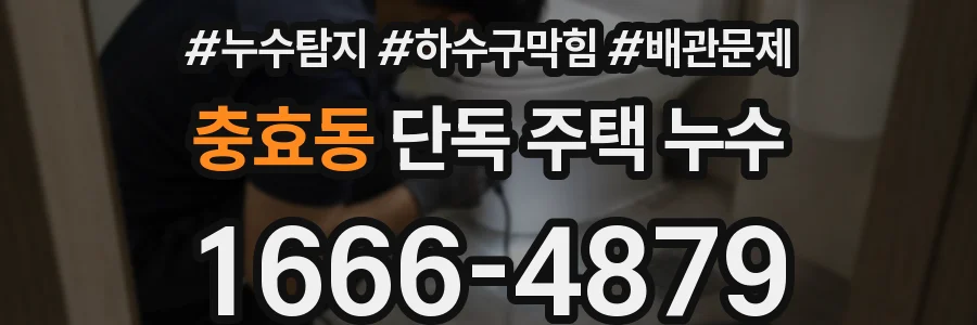 충효동 단독 주택 누수