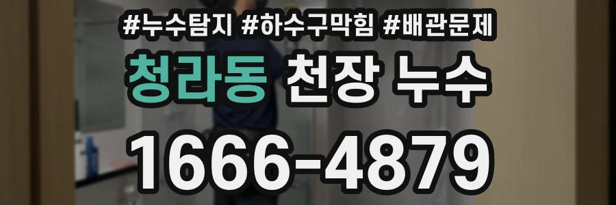 청라동 천장 누수