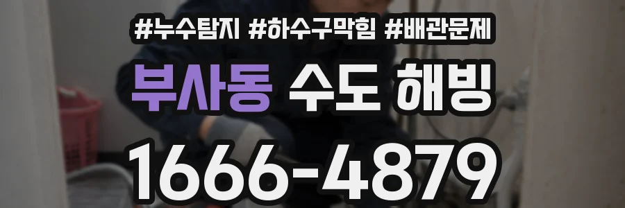 부사동 수도 해빙