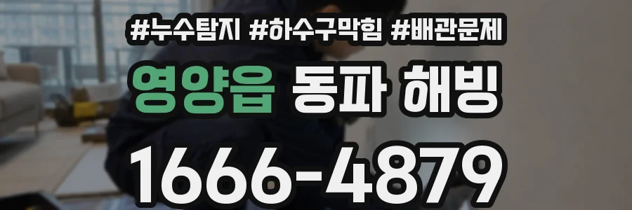 영양읍 동파 해빙