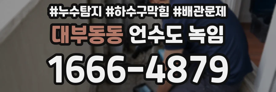 대부동동 언수도 녹임