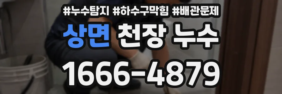 상면 천장 누수