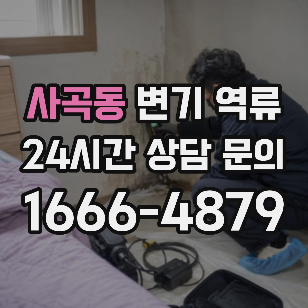 사곡동 변기 역류