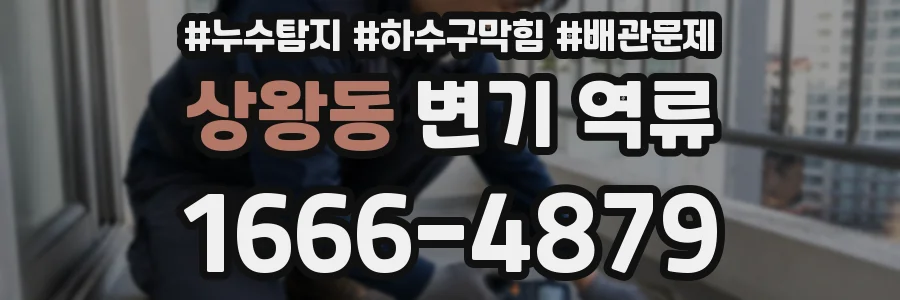상왕동 변기 역류