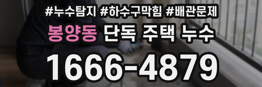 봉양동 단독 주택 누수