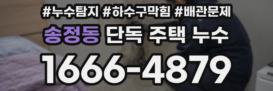 송정동 단독 주택 누수