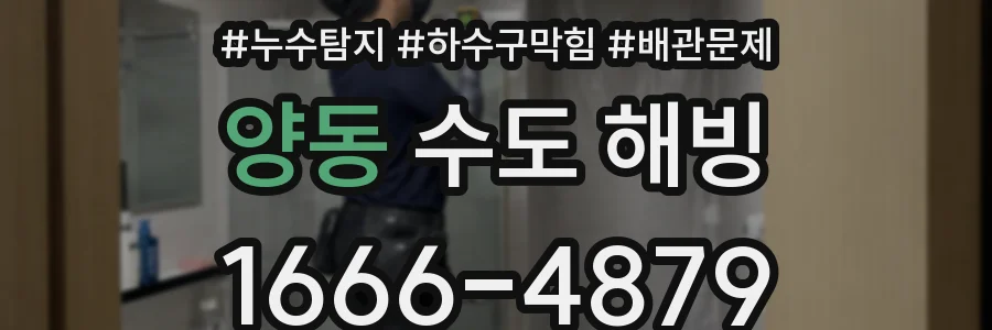 양동 수도 해빙