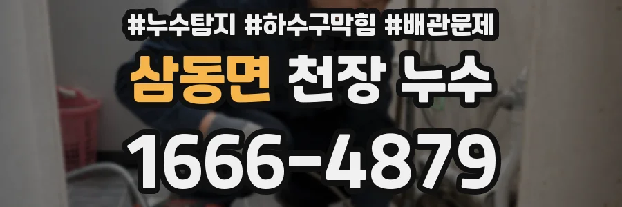 삼동면 천장 누수