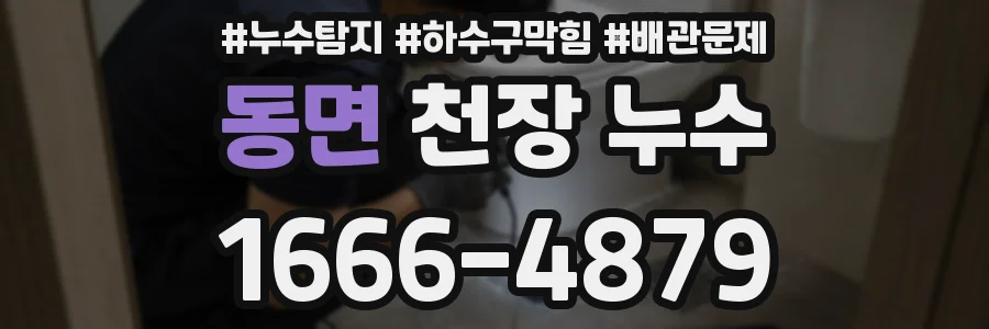 동면 천장 누수