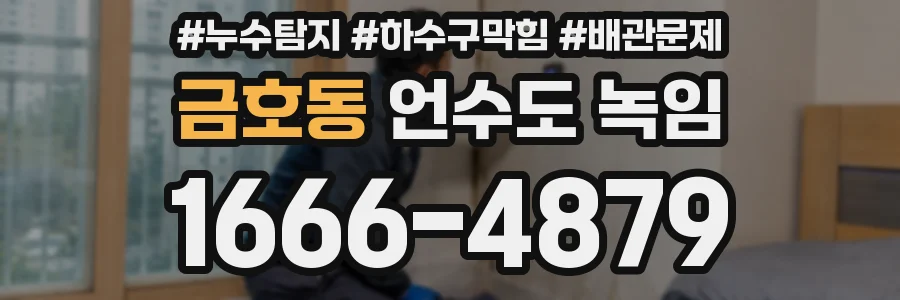 금호동 언수도 녹임