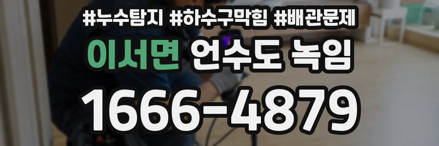이서면 언수도 녹임