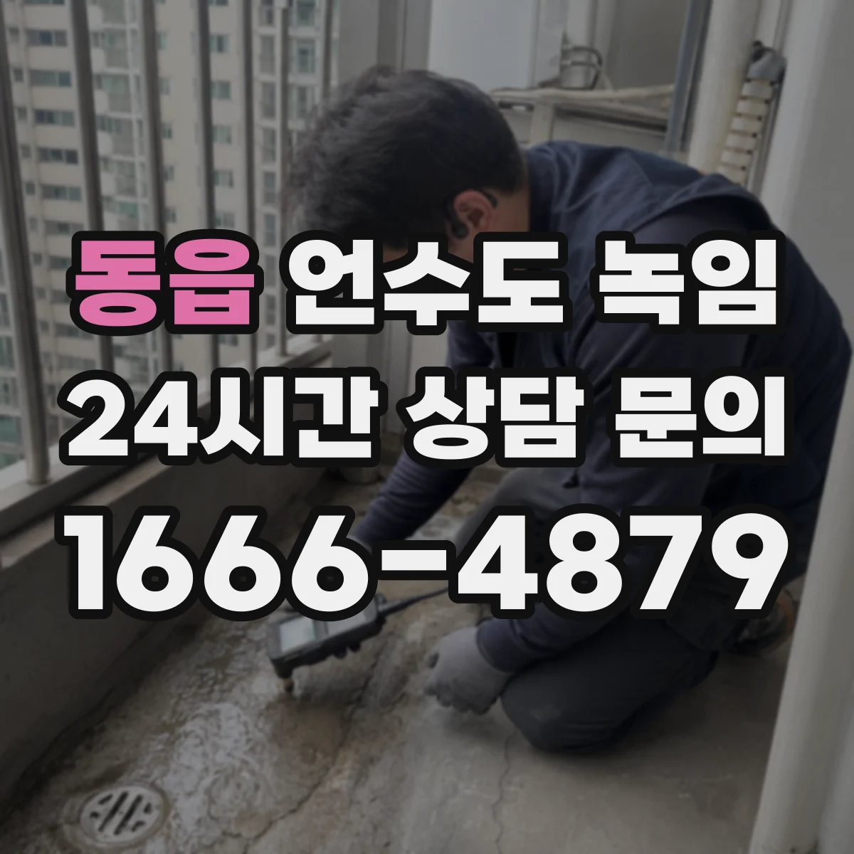 동읍 언수도 녹임