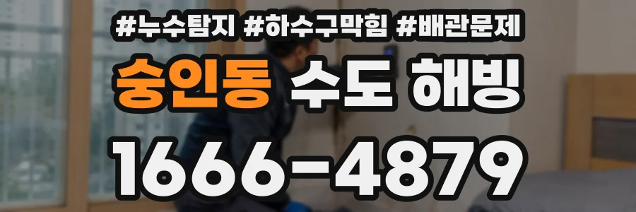 숭인동 수도 해빙