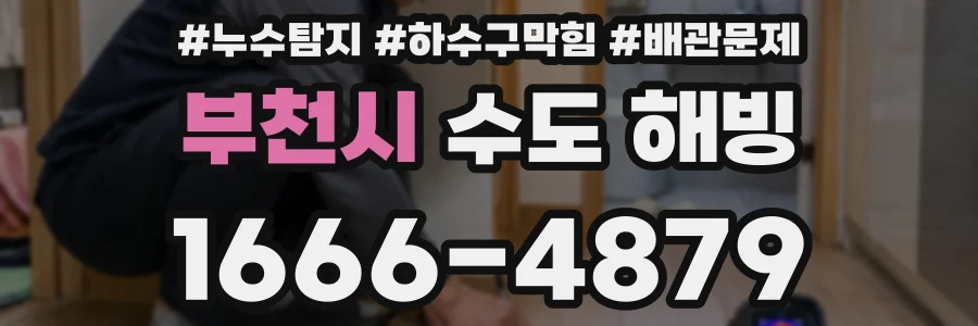 부천시 수도 해빙