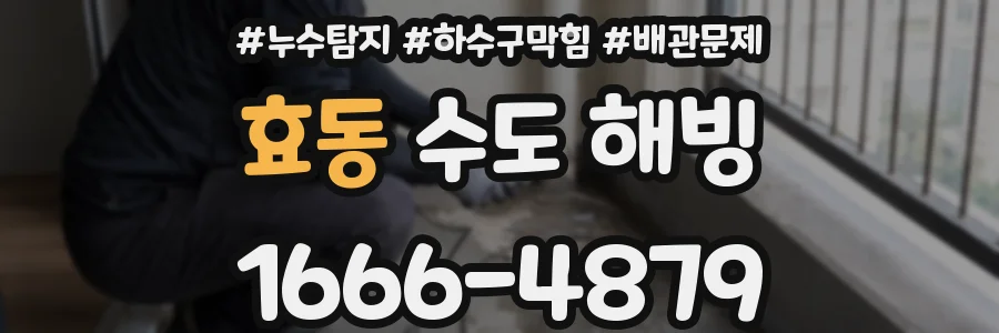 효동 수도 해빙