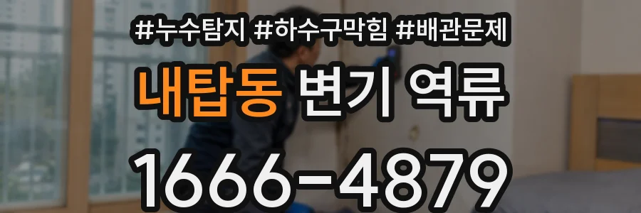 내탑동 변기 역류