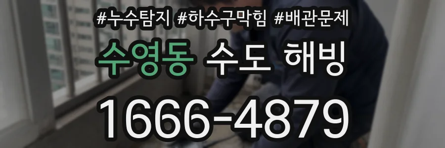 수영동 수도 해빙