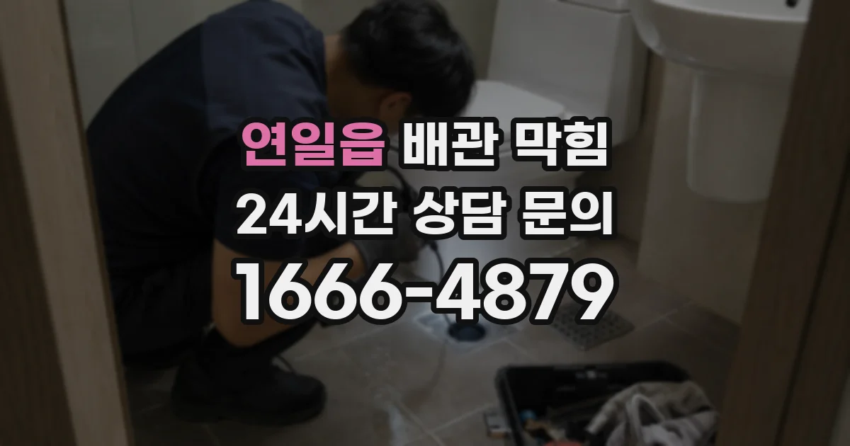 연일읍 배관 막힘