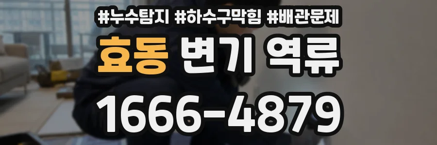 효동 변기 역류