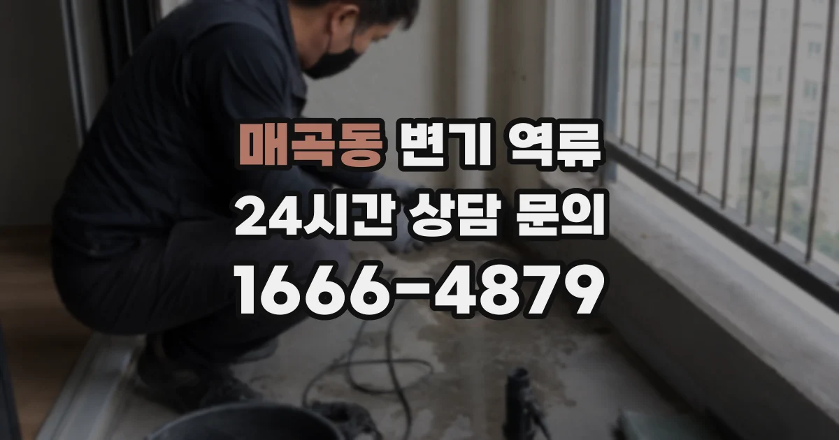 매곡동 변기 역류