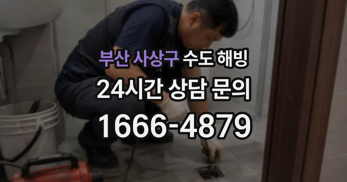 부산 사상구 수도 해빙
