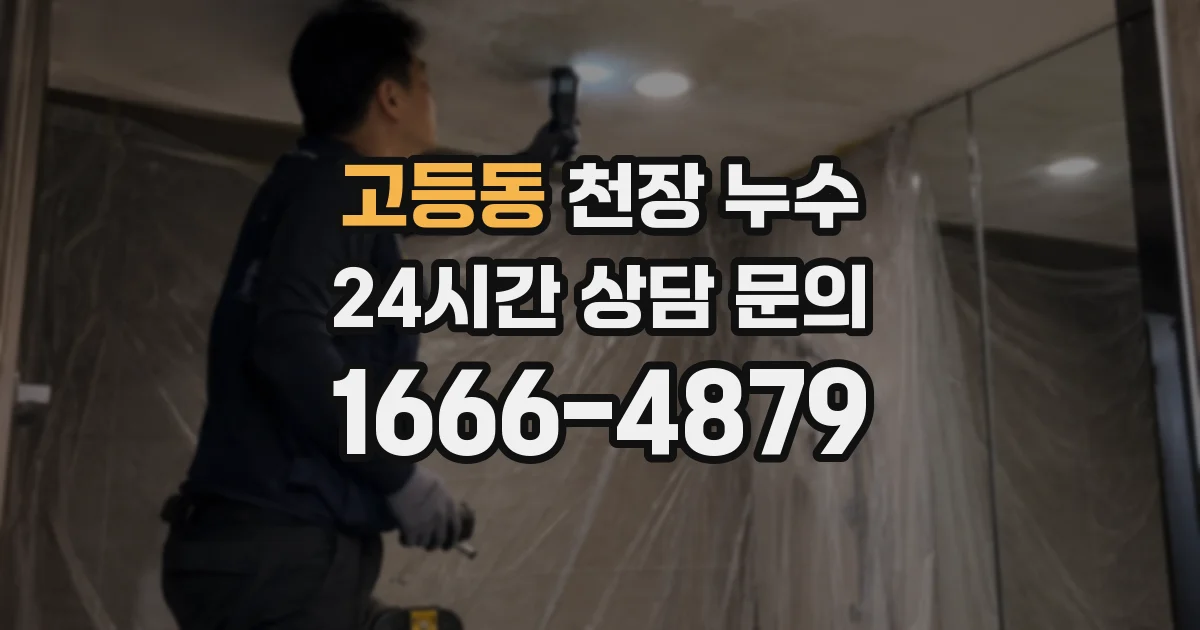 고등동 천장 누수